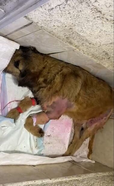 FOTO: Claudia González/ EL UNIVERSAL/