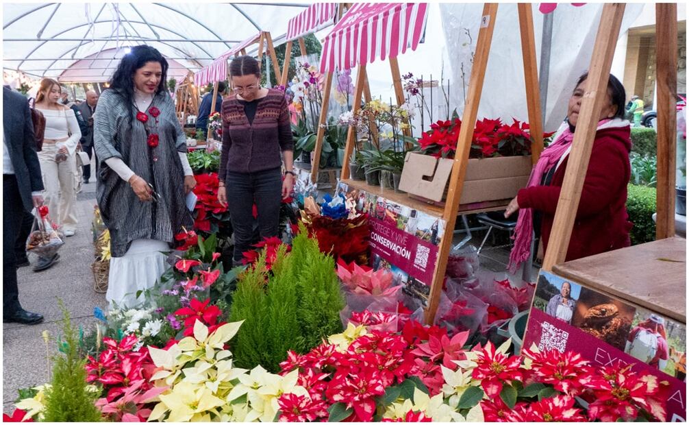 Festival Flores de Nochebuena. Foto: Especial
