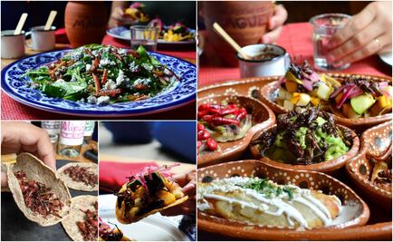 Ya comenzó la temporada de bichos en Los Danzantes