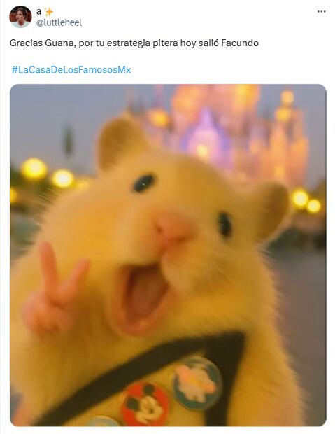 Memes de la sexta gala de eliminación en La Casa de Los Famosos 2025. Foto: X