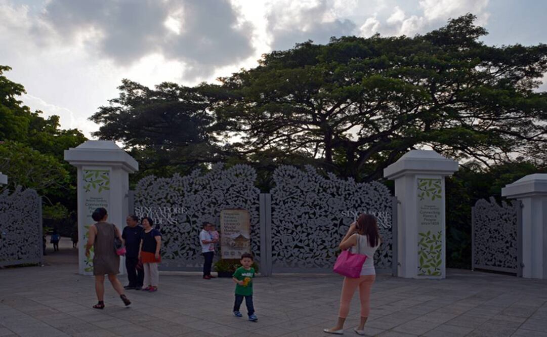 Los estudiantes de Singapur son también menos activos físicamente tras la escuela, con solo el 22% reportando una actividad o deporte al menos 4 días a la semana tras el colegio. Foto: Ilustrativa / Xinhua