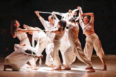 “Micelio”, reflexiones tras la  pandemia