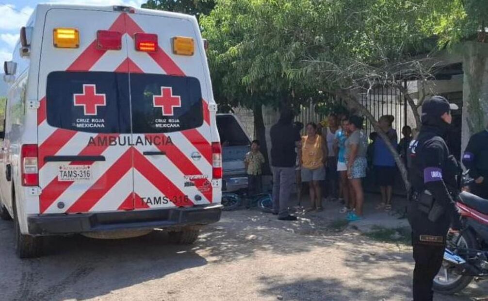 Elementos reciben capacitación virtual (14/08/2025). Foto: Especial