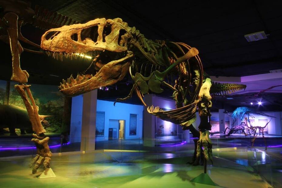 Foto: Facebook "Museos Puebla"