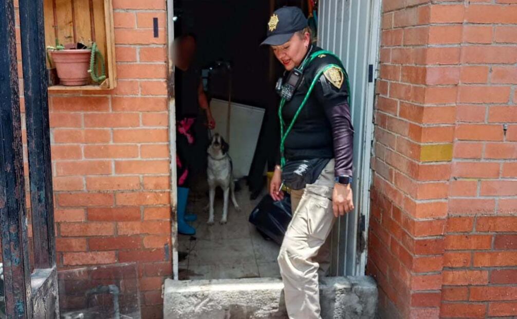 Brigada de Vigilancia Animal supervisa a los animales afectados por inundaciones (05/06/2025). Foto: Especial