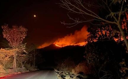 Sedena aplica Plan DN-III por incendios forestales en Los Reyes, Michoacán