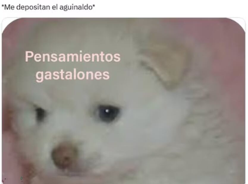 Foto: Vía X.