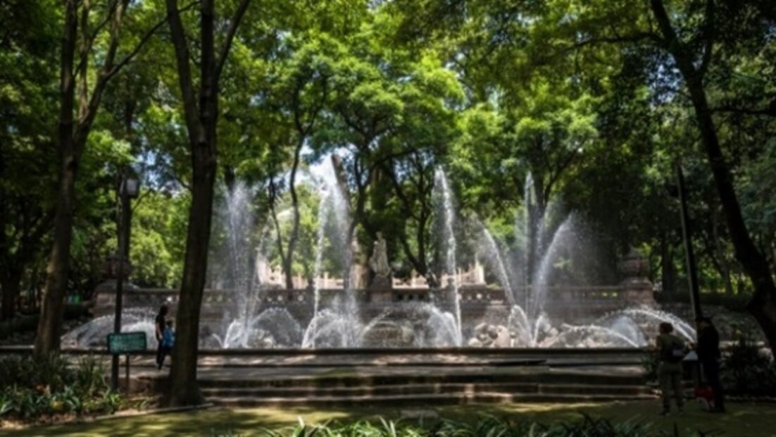 Parques y bosques abiertos en CDMX: qué sí y qué no puedes hacer