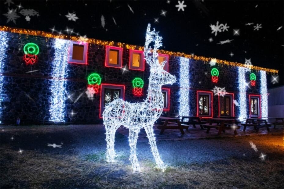 BrillaFest: vuelve con novedades el festival de luces de Atlixco