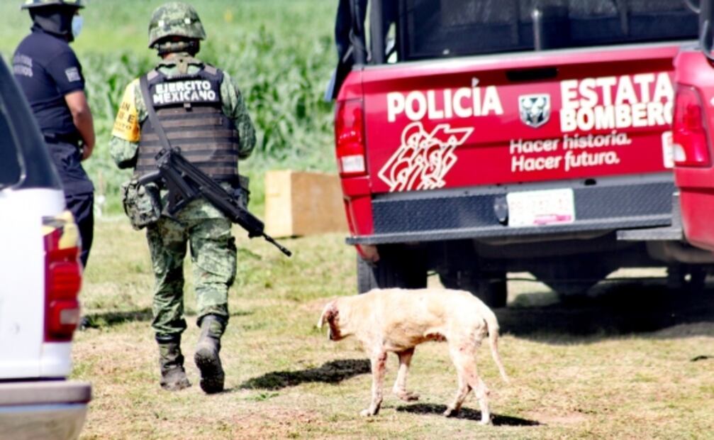 “Ayúdenme a rescatar a mi perrito”, pide Fátima, dueña del pitbull que cayó al socavón de Puebla