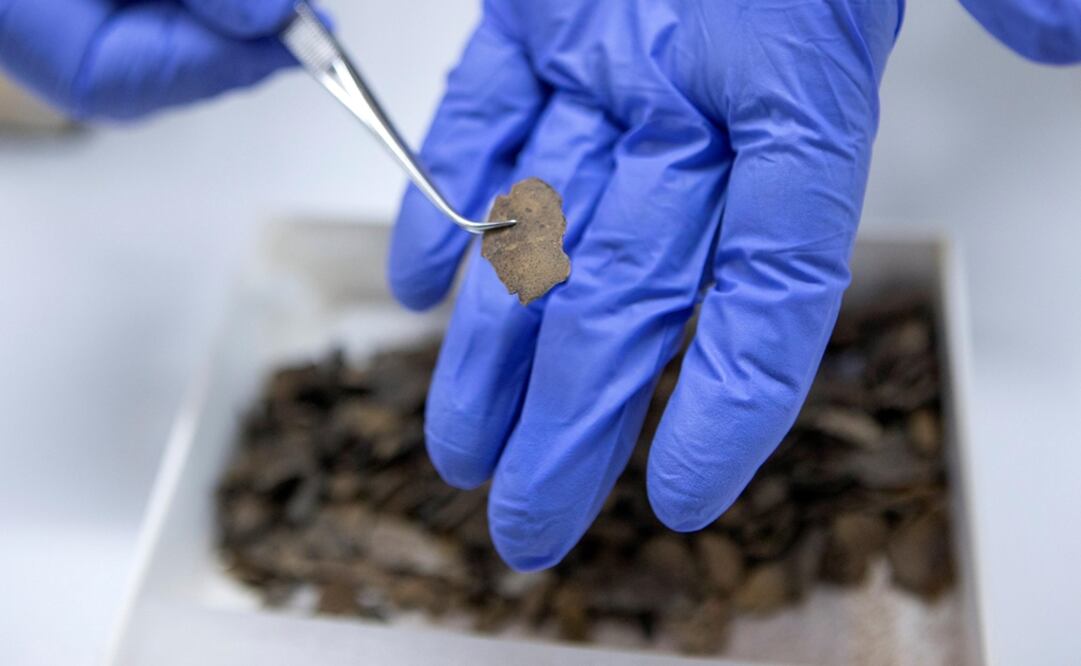 Un conservador del laboratorio de los Rollos del Mar Muerto muestra un fragmento de uno de los Rollos del Mar en Jersualén. Foto: EFE/ Jim Hollander