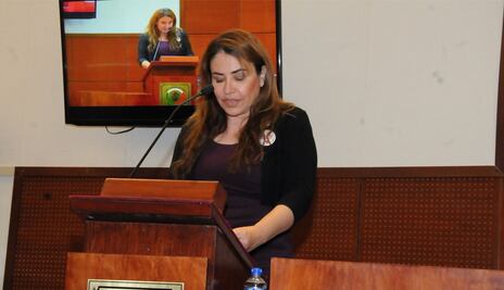 Diputada de Morena quiere que tropas de la ONU vigilen Zacatecas