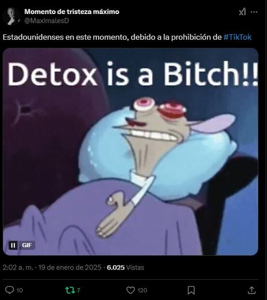 Los mejores memes para despedir a TikTok en EU.
Foto: Captura de pantalla en X