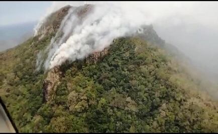 Investigan a mineras por incendio forestal en Veracruz