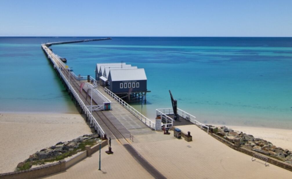 Crearán observatorio en forma de ballena para ver la vida marina