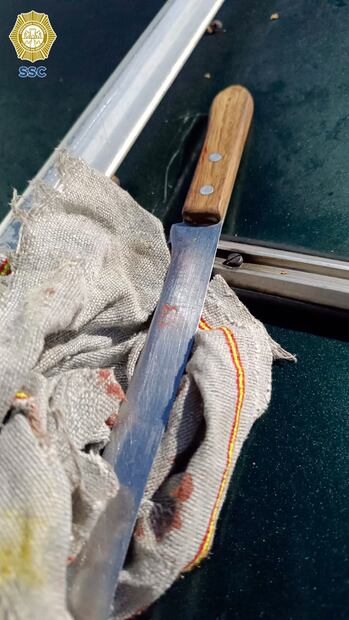 FOTO: Especial/ EL UNIVERSAL/