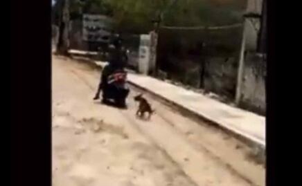 Detienen a motociclista que arrastró del cuello a un perro en Ticul, Yucatán