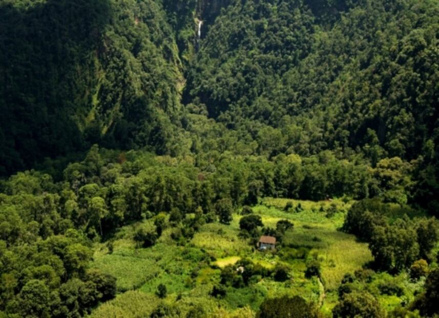 Xic Xanac, cabañas en Zacatlán para una escapada romántica o en familia