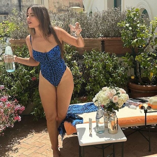 Foto: Instagram @sofiavergara