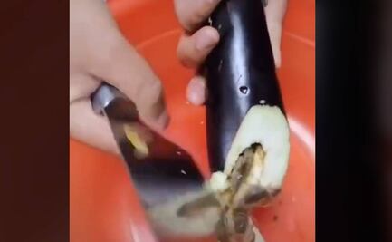 ¿Alacranes que salen de una berenjena? Experto explica video viral 
