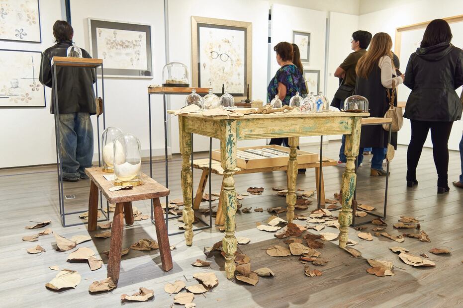 En la muestra también se pueden ver algunas hojas del árbol Majahua que fue arrancado por los fuertes vientos del huracán Otis. Foto: Casa de la Cultura Postal