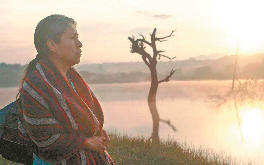 "Sin señas particulares" narra la historia de una mujer que nada sabe sobre su hijo que salió a EU; en su andar se encuentra a un joven que fue deportado y que también desea ver a su madre.. Foto: Archivo