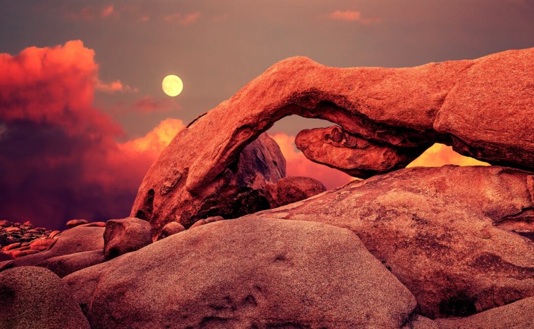 A dos horas de Los Ángeles, con una extensión de 323 mil hectáreas. (Foto: iStock) 