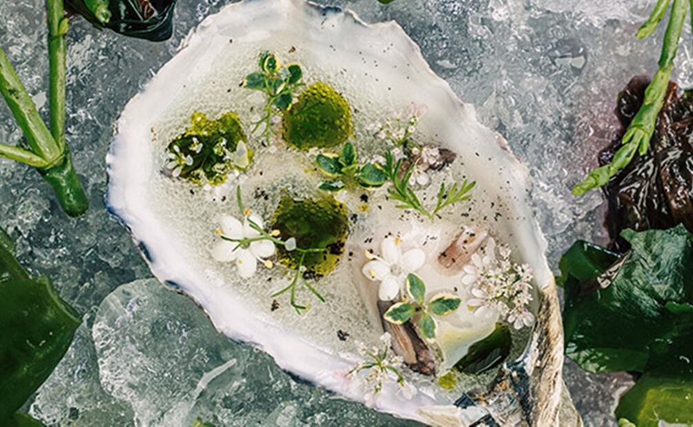 Octavia, el nuevo restaurante de Jonatan Gómez Luna. Foto: cortesía