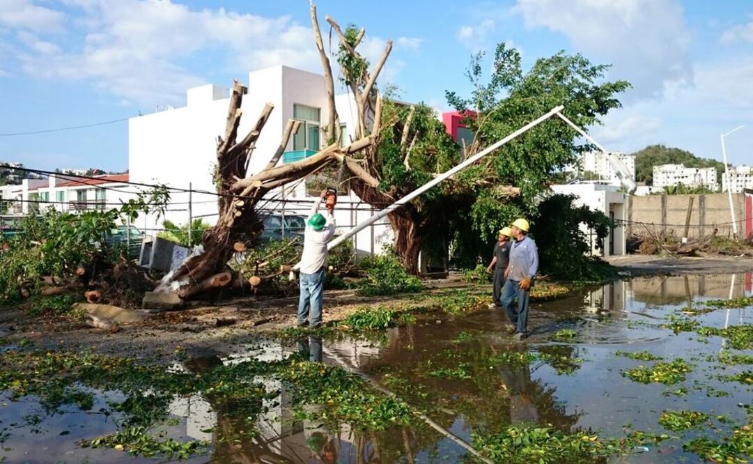 Tras 24 horas de zozobra y la caída de cientos de árboles, autoridades y habitantes de Manzanillo comenzaron a recoger los escombros que obstaculizan las calles de las ciudad. (FOTO: Ramón Romero / EL UNIVERSAL) 
