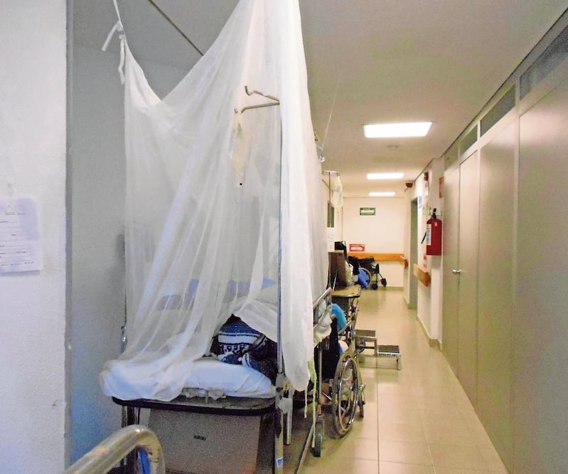 Brote. La Secretaría de Salud registró en el estado 648 nuevos casos y cuatro defunciones esta semana. Foto/ARCHIVO EL UNIVERSAL