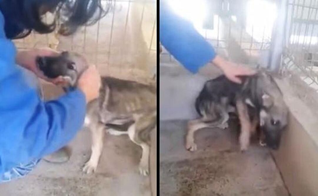 Foto: Tomada de YouTube