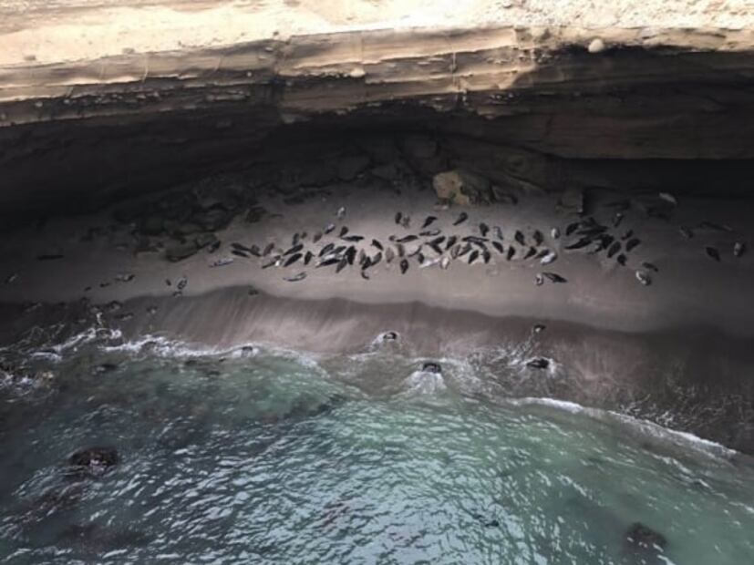 Qué ver y hacer en San Quintín, Baja California