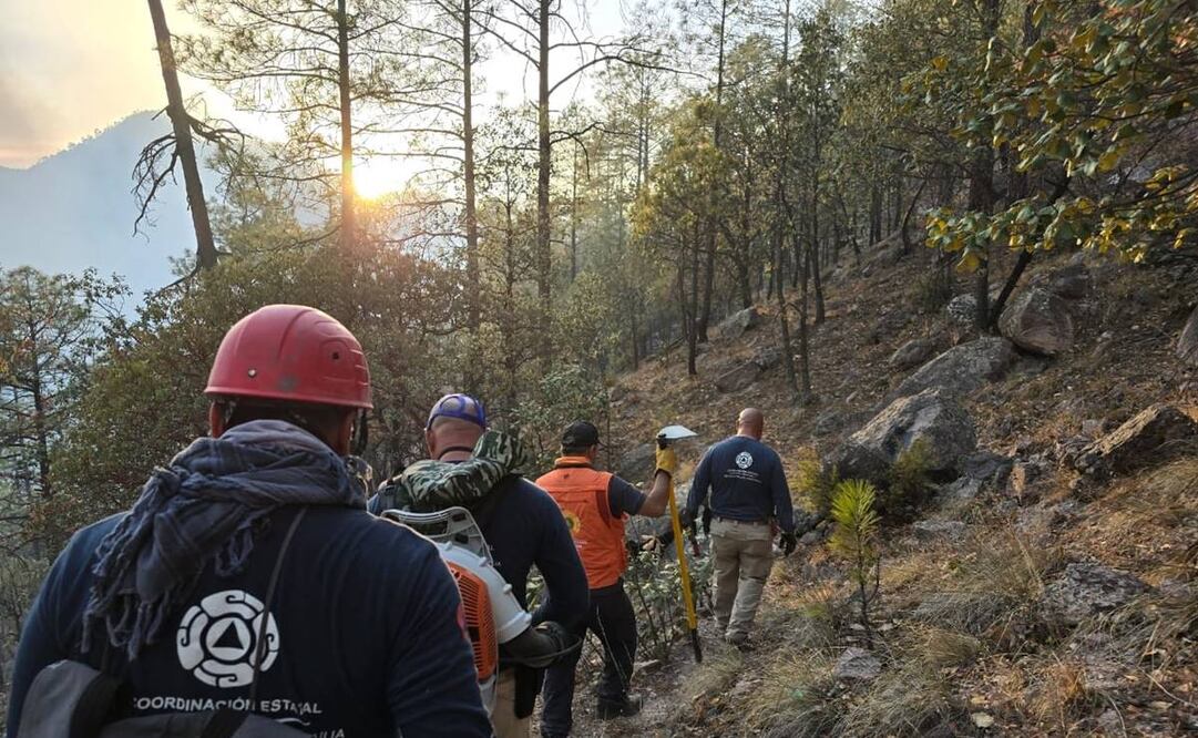 Llaman Sader, Semarnat y Conafor a evitar quemas agropecuarias para reducir emisiones contaminantes. Foto: especial