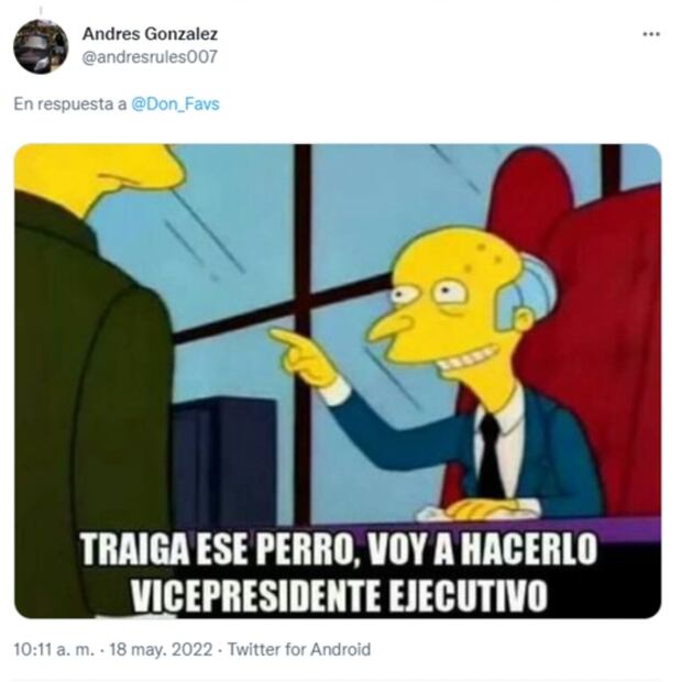 ¡Empleada de mes!: perrita atiende ferretería y se vuelve viral