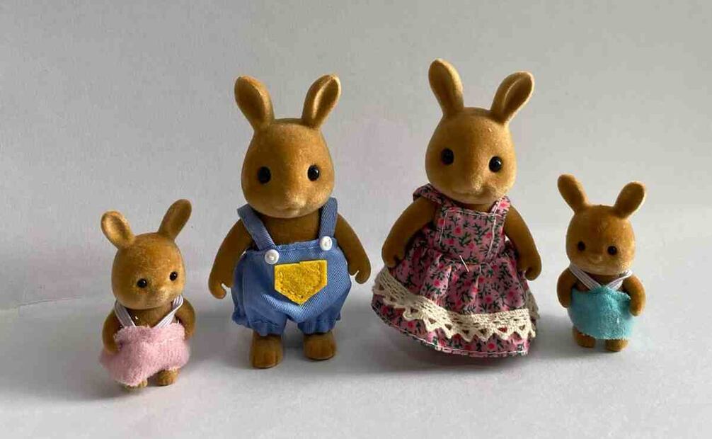 Familia de "chafarines" conejos. Foto: Redes sociales