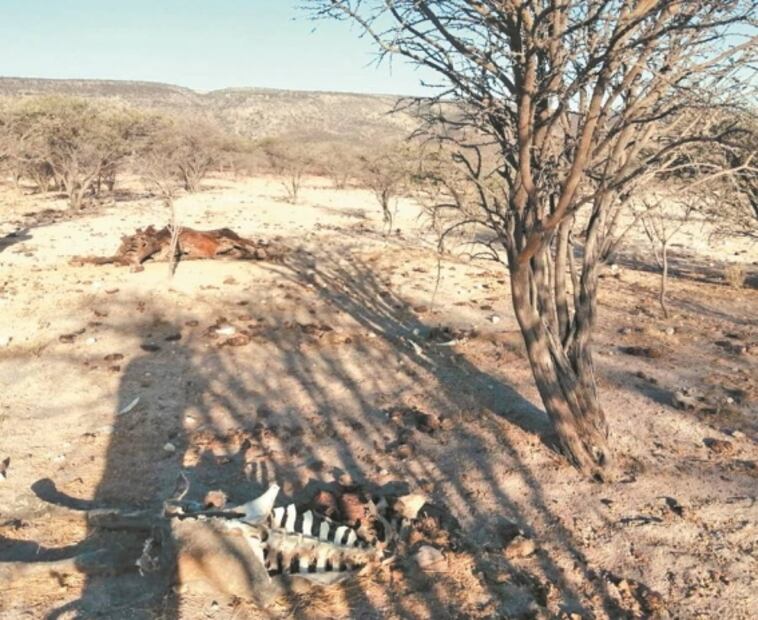Nueve estados en México se encuentran en sequía grave 
