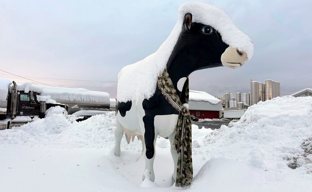 Vista tras una nevada, en Lowville, Nueva York, el 1 de diciembre de 2024. Foto: AP
