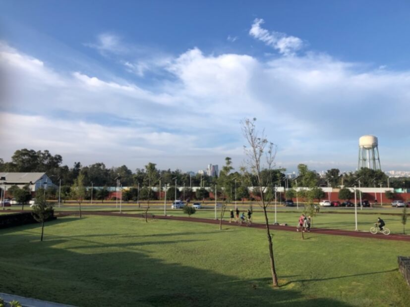 5 grandes lugares para hacer un picnic en CDMX