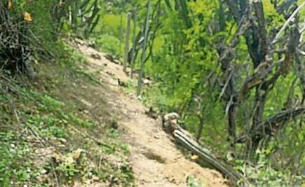 Denuncian despojo de 2.5 mil hectáreas en Huajuapan