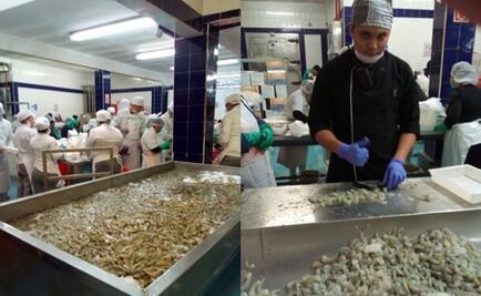 Estudiantes de Sinaloa preparan el aguachile más grande del mundo