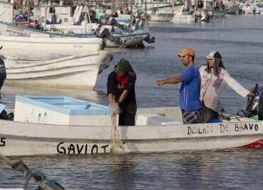 EU, a punto de decidir bloqueo pesquero a México por daño a totoaba y vaquita marina