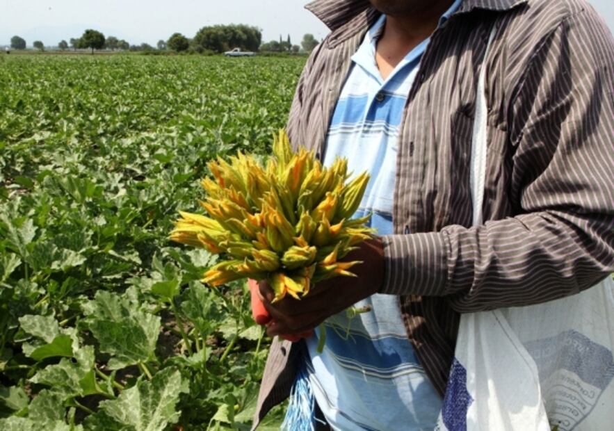 4 Mexican flowers you should include in your diet