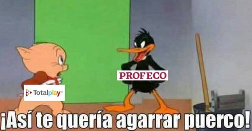 El cambio de precios de Totalplay y la abuelita asesina de Chalco, en los memes de la semana 