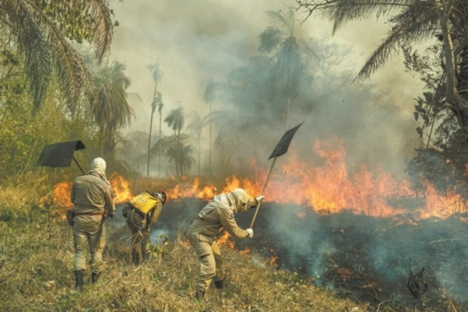 World Press Photo, en un año de pandemia