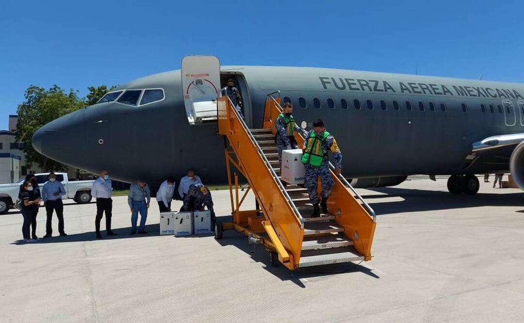 Nuevo embarque de 71 mil 500 de vacunas contra el Covid-19 de las farmacéuticas Pfizer y Sinovac en Sinaloa. Foto: Cortesía