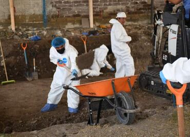 Hallan restos humanos en trabajos de exhumación de fosa común en Jojutla; hallazgos fueron informados a colectivos de búsqueda