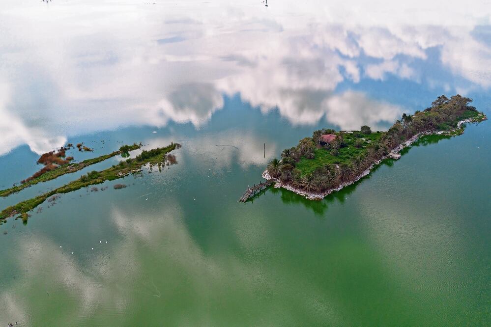 El mirador permite ver diferentes especies de aves para los visitantes del Parque Ecológico Lago de Texcoco. Entre las obras existe un área para realizar recorridos en bicicleta. Foto: de Hugo Salvador. El Universal
