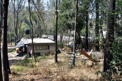 Regidores de Naucalpan piden preservar hectáreas restantes del Parque Nacional de Los Remedios