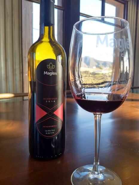 Vinícola Maglén, la expresión fresca del valle de San Antonio de las Minas