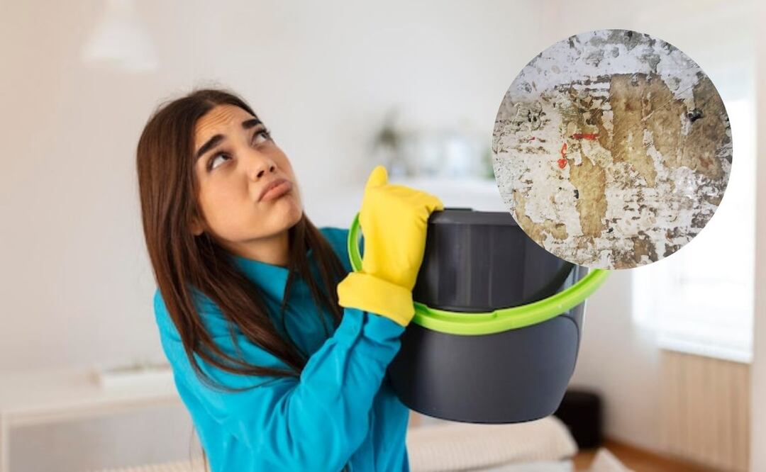 El salitre en las paredes es un problema común. Fuente: Freepik.